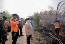 Bupati Kasmarni Tinjau Karhutla Sungai Meranti, Turun Langsung Padamkan Api