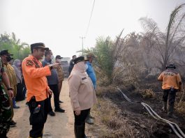 Bupati Kasmarni Tinjau Karhutla Sungai Meranti, Turun Langsung Padamkan Api