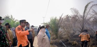 Bupati Kasmarni Tinjau Karhutla Sungai Meranti, Turun Langsung Padamkan Api