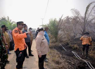 Bupati Kasmarni Tinjau Karhutla Sungai Meranti, Turun Langsung Padamkan Api
