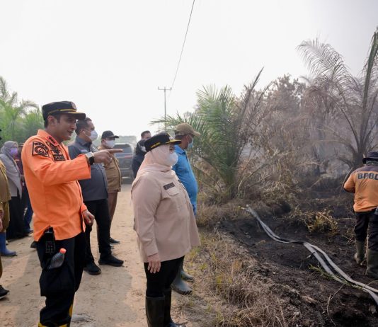 Bupati Kasmarni Tinjau Karhutla Sungai Meranti, Turun Langsung Padamkan Api