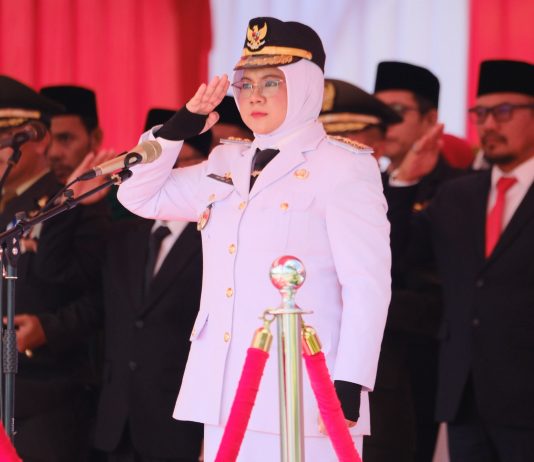 Afni Zulkifli Masuk 29 Kepala Daerah Peserta KPPD Lemhannas 2026
