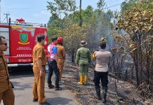 Lima Jam Berjibaku, Polres Natuna dan Damkar Cegah Api Meluas