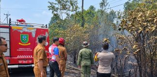 Lima Jam Berjibaku, Polres Natuna dan Damkar Cegah Api Meluas