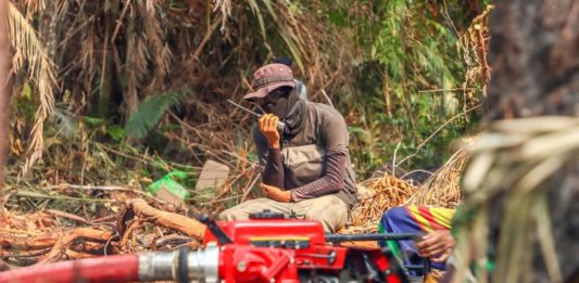 Cuaca Panas Picu Ancaman Karhutla, Bupati Lingga Turun Langsung Pantau Titik Api