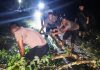 Kapolsek Idi Tunong Turun Tangan Evakuasi Pohon Tumbang yang Tutup Jalan