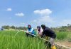 Electrifying Agriculture PLN Bantu Jaga Produktivitas Petani di Musim Kemarau