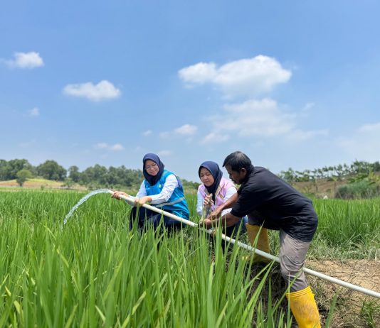 Electrifying Agriculture PLN Bantu Jaga Produktivitas Petani di Musim Kemarau