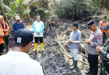 Karhutla Kudung Jadi Perhatian, Bupati Lingga Koordinasikan Bantuan ke BNPB