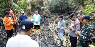 Karhutla Kudung Jadi Perhatian, Bupati Lingga Koordinasikan Bantuan ke BNPB