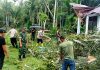 Pohon Tumbang Timpa Rumah Warga, Kapolsek Idi Rayeuk Turun Langsung Bergerak Bersama Masyarakat