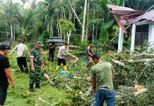 Pohon Tumbang Timpa Rumah Warga, Kapolsek Idi Rayeuk Turun Langsung Bergerak Bersama Masyarakat