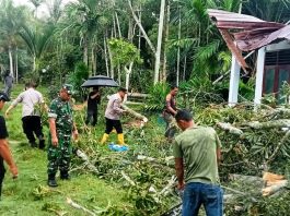 Pohon Tumbang Timpa Rumah Warga, Kapolsek Idi Rayeuk Turun Langsung Bergerak Bersama Masyarakat