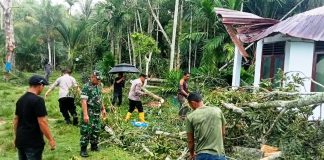 Pohon Tumbang Timpa Rumah Warga, Kapolsek Idi Rayeuk Turun Langsung Bergerak Bersama Masyarakat