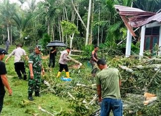 Pohon Tumbang Timpa Rumah Warga, Kapolsek Idi Rayeuk Turun Langsung Bergerak Bersama Masyarakat