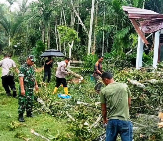 Pohon Tumbang Timpa Rumah Warga, Kapolsek Idi Rayeuk Turun Langsung Bergerak Bersama Masyarakat