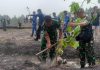 HUT TNI ke-81, Kodim 0318/Natuna Tanam Ribuan Pohon Kemiri dan Bagikan 1.200 Paket Minyak Goreng