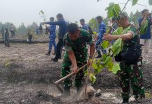 HUT TNI ke-81, Kodim 0318/Natuna Tanam Ribuan Pohon Kemiri dan Bagikan 1.200 Paket Minyak Goreng
