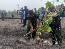 HUT TNI ke-81, Kodim 0318/Natuna Tanam Ribuan Pohon Kemiri dan Bagikan 1.200 Paket Minyak Goreng