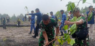 HUT TNI ke-81, Kodim 0318/Natuna Tanam Ribuan Pohon Kemiri dan Bagikan 1.200 Paket Minyak Goreng