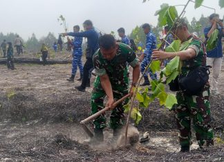HUT TNI ke-81, Kodim 0318/Natuna Tanam Ribuan Pohon Kemiri dan Bagikan 1.200 Paket Minyak Goreng