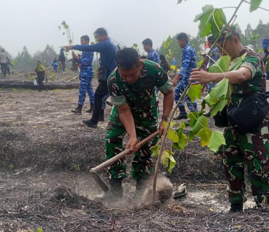 HUT TNI ke-81, Kodim 0318/Natuna Tanam Ribuan Pohon Kemiri dan Bagikan 1.200 Paket Minyak Goreng