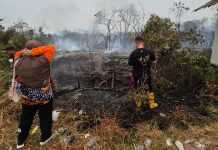 Di Tengah Kepulan Asap Karhutla, Bupati Lingga M. Nizar Turun Langsung Padamkan Api