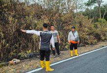 Bupati Lingga Turun Langsung Bantu Pemadaman Karhutla di Sungai Besar