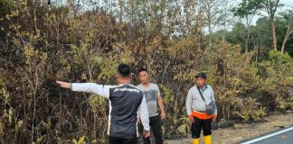 Bupati Lingga Turun Langsung Bantu Pemadaman Karhutla di Sungai Besar