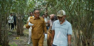 Wagub Nyanyang Dorong Salak Sari Intan Jadi Unggulan Pertanian Kepri