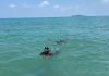Kantor SAR Natuna Asah Kemampuan Rescuer, 15 Personil Ikuti Latihan Water Rescue di Pantai Tanjung