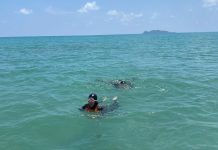 Kantor SAR Natuna Asah Kemampuan Rescuer, 15 Personil Ikuti Latihan Water Rescue di Pantai Tanjung