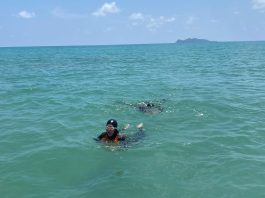 Kantor SAR Natuna Asah Kemampuan Rescuer, 15 Personil Ikuti Latihan Water Rescue di Pantai Tanjung