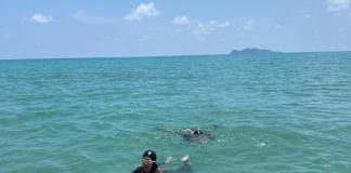 Kantor SAR Natuna Asah Kemampuan Rescuer, 15 Personil Ikuti Latihan Water Rescue di Pantai Tanjung