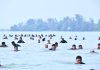 Lintas Medan Prajurit Lanud Raden Sadjad Tempuh Jalur Pantai Natuna