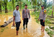 Kapolsek Simpang Jernih Pantau Banjir di Pante Kera, 30 KK Masih Mengungsi