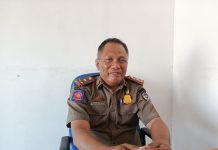 Kasatpol PP Busel Ungkap Kendala Penertiban Ternak Liar di Kawasan Perkantoran