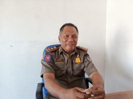Kasatpol PP Busel Ungkap Kendala Penertiban Ternak Liar di Kawasan Perkantoran