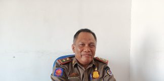 Kasatpol PP Busel Ungkap Kendala Penertiban Ternak Liar di Kawasan Perkantoran