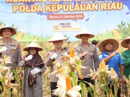 Panen Raya Jagung Pipil di Batam, Polda Kepri Perkuat Ketahanan Pangan Bersama Petani