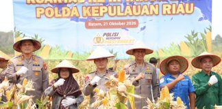 Panen Raya Jagung Pipil di Batam, Polda Kepri Perkuat Ketahanan Pangan Bersama Petani