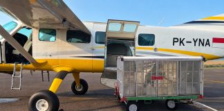 Jaga Ketersediaan Air Baku Batam, BP Batam Siapkan Operasi Modifikasi Cuaca