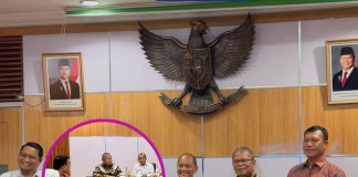 Perjuangkan Listrik 24 Jam, Pemkab Busel Temui PLN untuk Pemerataan Energi di Wilayah Kepulauan