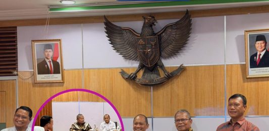 Perjuangkan Listrik 24 Jam, Pemkab Busel Temui PLN untuk Pemerataan Energi di Wilayah Kepulauan