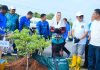 Langkah Sederhana, Cen Sui Lan Libatkan Seluruh OPD Tanam Bunga Kertas Percantik Wajah Kota