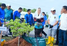 Langkah Sederhana, Cen Sui Lan Libatkan Seluruh OPD Tanam Bunga Kertas Percantik Wajah Kota