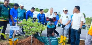 Langkah Sederhana, Cen Sui Lan Libatkan Seluruh OPD Tanam Bunga Kertas Percantik Wajah Kota