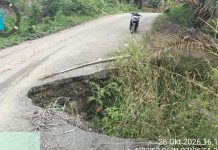 Jalan Peureulak–Lokop Segmen II Rusak Parah, Warga Serbajadi Desak Pemerintah Aceh Segera Bertindak