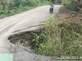 Jalan Peureulak–Lokop Segmen II Rusak Parah, Warga Serbajadi Desak Pemerintah Aceh Segera Bertindak