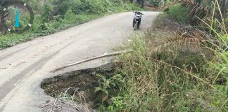 Jalan Peureulak–Lokop Segmen II Rusak Parah, Warga Serbajadi Desak Pemerintah Aceh Segera Bertindak